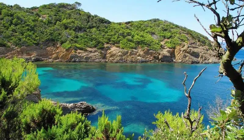 Excursions en mer avec Cap Camarat 12.5 WA – modèle 2021 : L’île de Port-Cros, en location avec skipper au port de Cavalaire-sur-Mer